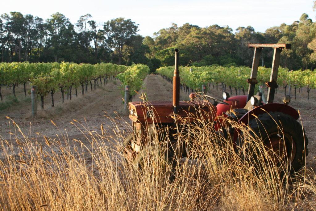 Cape Grace Vineyardtractor 2048X1365 1