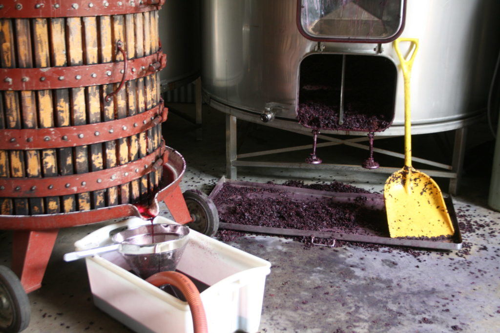 Winemaking Scaled 1