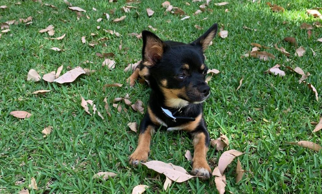 c27c9cc0 5bda 469f aff7 41fc74a1fbf7 e1754455196599