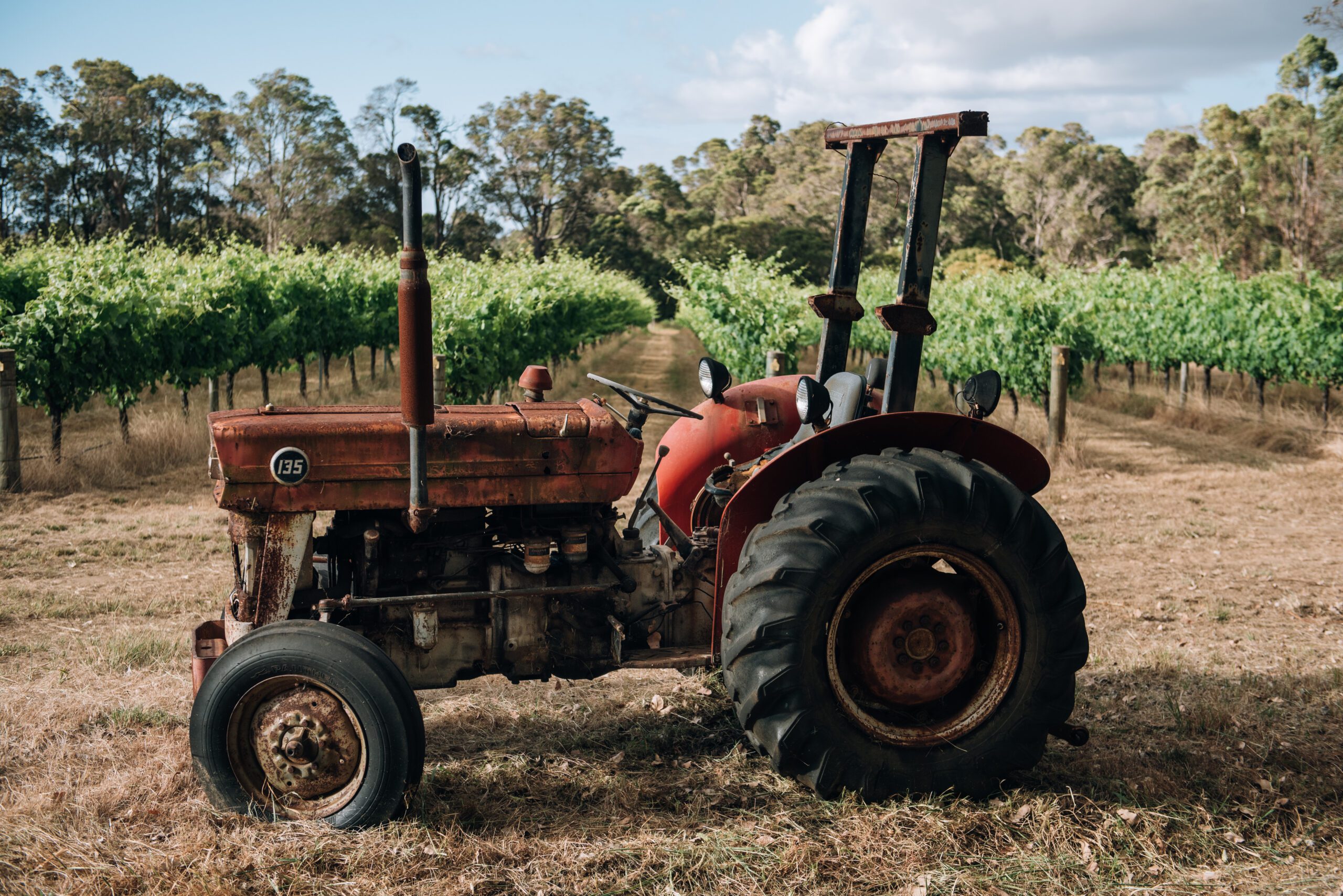 cape grace 2a 1 scaled